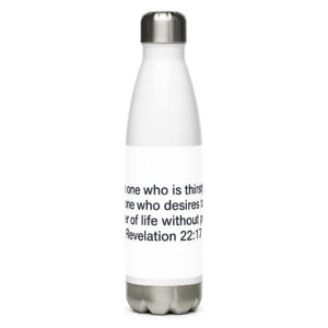 Stainless steel water bottle