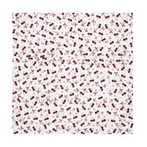 Cloth napkin set